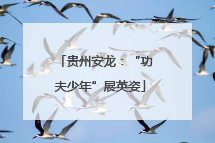 贵州安龙：“功夫少年”展英姿