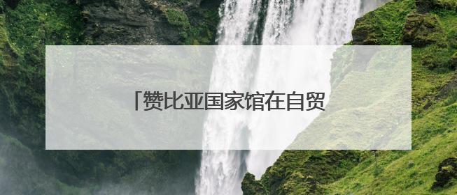赞比亚国家馆在自贸雨花区块正式揭牌