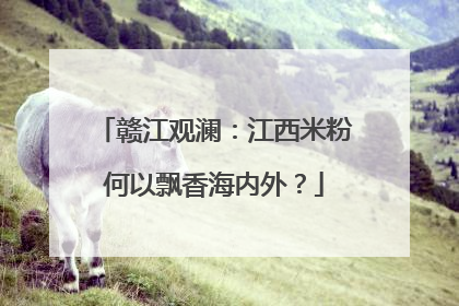 赣江观澜：江西米粉何以飘香海内外？