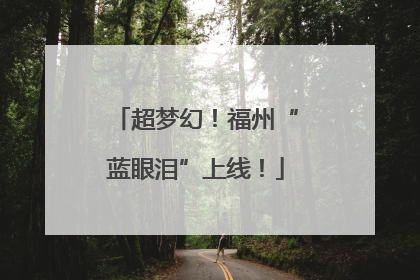 超梦幻！福州“蓝眼泪”上线！
