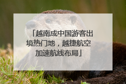 越南成中国游客出境热门地，越捷航空加速航线布局