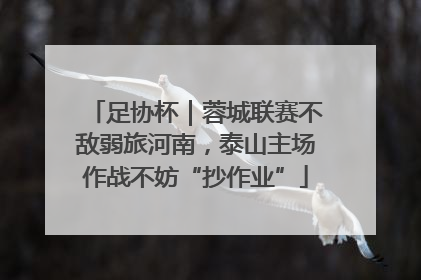 足协杯｜蓉城联赛不敌弱旅河南，泰山主场作战不妨“抄作业”