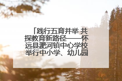 践行五育并举 共探教育新路径——怀远县淝河镇中心学校举行中小学、幼儿园班主任论坛活动