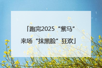 跑完2025“紫马” 来场“抹黑脸”狂欢