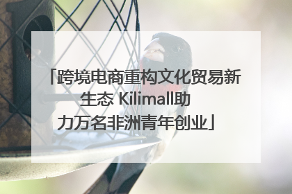 跨境电商重构文化贸易新生态 Kilimall助力万名非洲青年创业