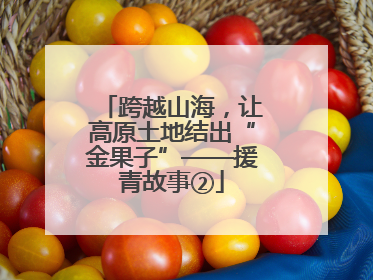 跨越山海，让高原土地结出“金果子”——援青故事②