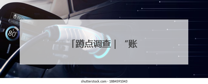 蹲点调查｜“账本”里头话振兴