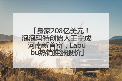 身家208亿美元！泡泡玛特创始人王宁成河南新首富，Labubu热销推涨股价