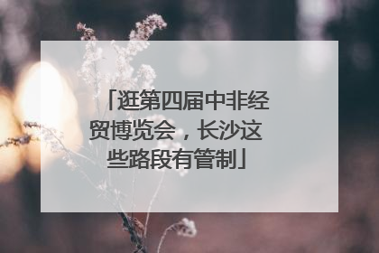 逛第四届中非经贸博览会，长沙这些路段有管制