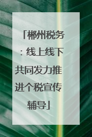 郴州税务：线上线下共同发力推进个税宣传辅导