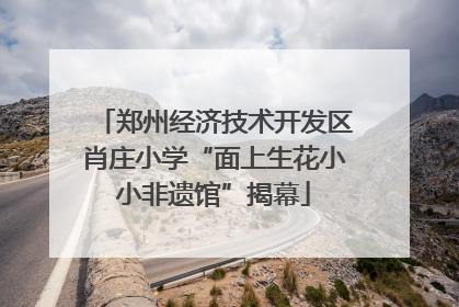 郑州经济技术开发区肖庄小学“面上生花小小非遗馆”揭幕