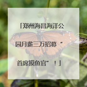 郑州海昌海洋公园月薪三万招募“首席摸鱼官”！