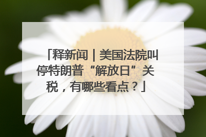 释新闻｜美国法院叫停特朗普“解放日”关税，有哪些看点？