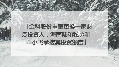 金科股份重整更换一家财务投资人，海南陆和私募和单小飞承接其投资额度