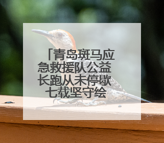 青岛斑马应急救援队公益长跑从未停歇 七载坚守绘就城市温暖底色
