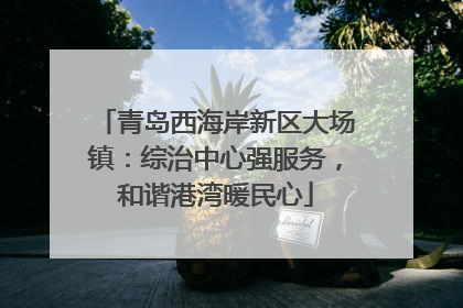 青岛西海岸新区大场镇：综治中心强服务，和谐港湾暖民心