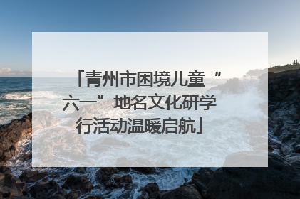 青州市困境儿童“六一”地名文化研学行活动温暖启航