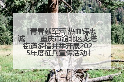 青春献军营 热血铸忠诚——重庆市渝北区龙塔街道多措并举开展2025年度征兵宣传活动