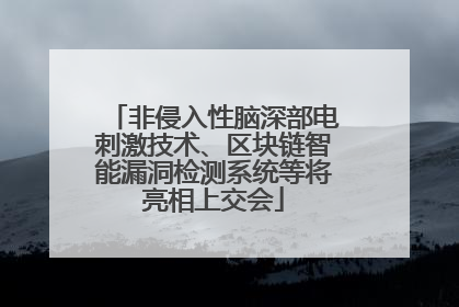非侵入性脑深部电刺激技术、区块链智能漏洞检测系统等将亮相上交会