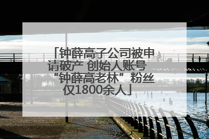 钟薛高子公司被申请破产 创始人账号“钟薛高老林”粉丝仅1800余人