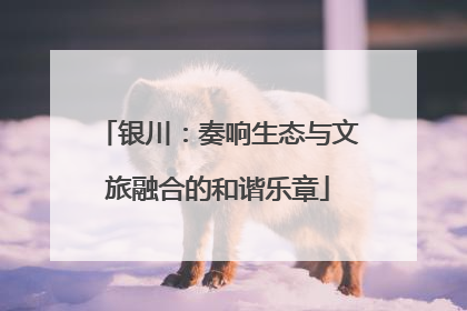 银川：奏响生态与文旅融合的和谐乐章