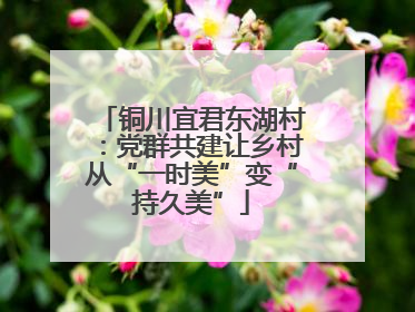 铜川宜君东湖村：党群共建让乡村从“一时美”变“持久美”