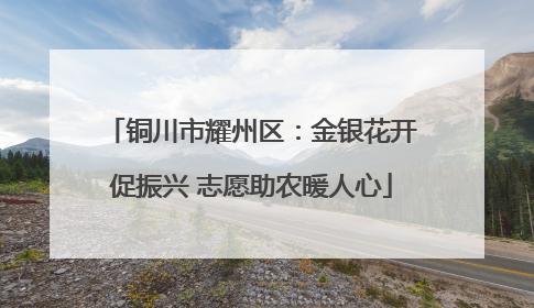铜川市耀州区：金银花开促振兴 志愿助农暖人心