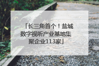 长三角首个！盐城数字视听产业基地集聚企业113家