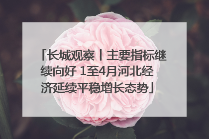 长城观察丨主要指标继续向好 1至4月河北经济延续平稳增长态势