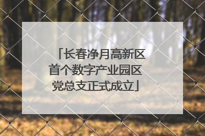 长春净月高新区首个数字产业园区党总支正式成立