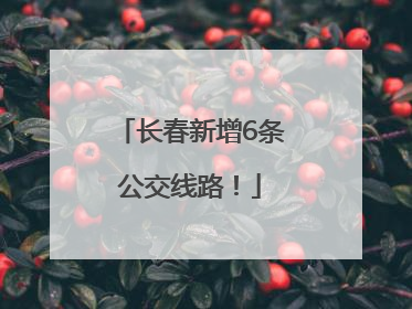 长春新增6条公交线路！