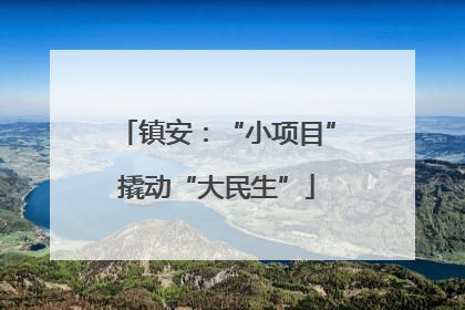镇安：“小项目”撬动“大民生”