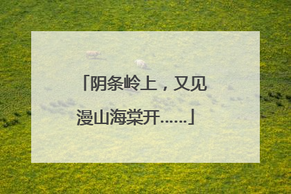 阴条岭上，又见漫山海棠开……