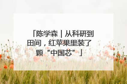 陈学森｜从科研到田间，红苹果里装了颗“中国芯”