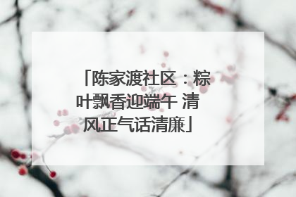 陈家渡社区：粽叶飘香迎端午 清风正气话清廉