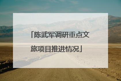 陈武军调研重点文旅项目推进情况
