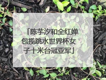 陈芋汐和全红婵包揽跳水世界杯女子十米台冠亚军