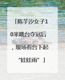陈芋汐女子10米跳台夺冠后，现场看台下起“娃娃雨”