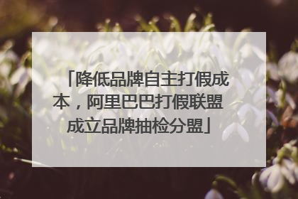 降低品牌自主打假成本，阿里巴巴打假联盟成立品牌抽检分盟