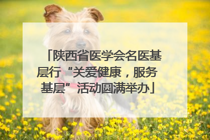 陕西省医学会名医基层行“关爱健康，服务基层”活动圆满举办