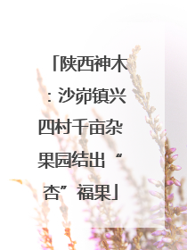 陕西神木：沙峁镇兴四村千亩杂果园结出“杏”福果