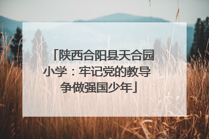 陕西合阳县天合园小学：牢记党的教导 争做强国少年
