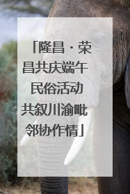 隆昌・荣昌共庆端午 民俗活动共叙川渝毗邻协作情