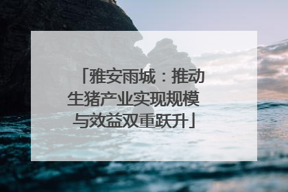 雅安雨城：推动生猪产业实现规模与效益双重跃升