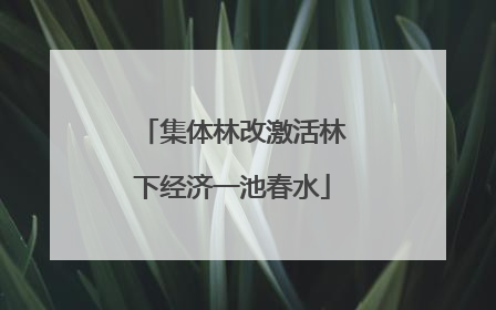 集体林改激活林下经济一池春水