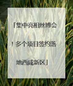 集中亮相丝博会！多个项目签约落地西咸新区