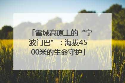 雪域高原上的“宁波门巴”：海拔4500米的生命守护