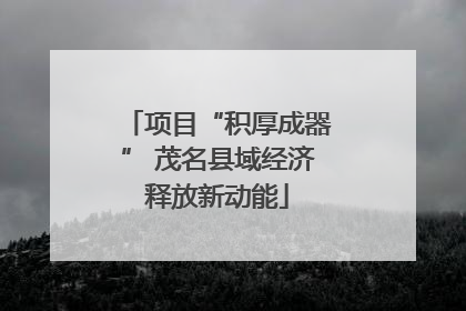 项目“积厚成器” 茂名县域经济释放新动能