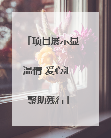 项目展示显温情 爱心汇聚助残行