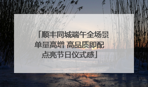 顺丰同城端午全场景单量高增 高品质即配点亮节日仪式感